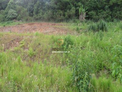 Terreno para Venda, em Concrdia, bairro Santa Cruz