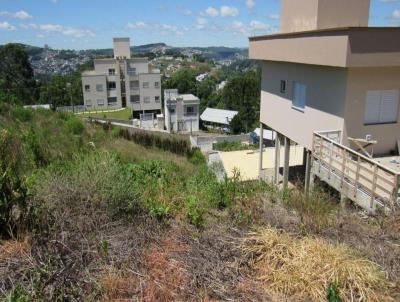 Terreno para Venda, em Concrdia, bairro Primavera