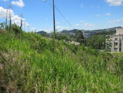 Terreno para Venda, em Concrdia, bairro Primavera