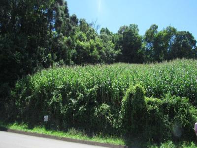 Terreno para Venda, em Concrdia, bairro Primavera