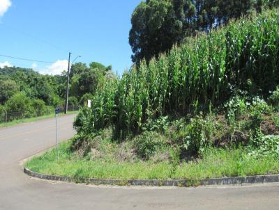 Terreno para Venda, em Concrdia, bairro Primavera