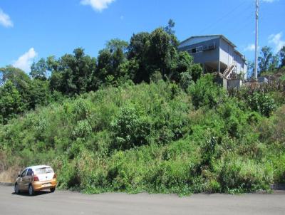 Terreno para Venda, em Concrdia, bairro Primavera