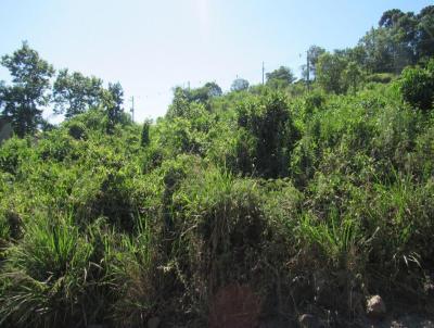 Terreno para Venda, em Concrdia, bairro Colibri