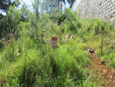 Terreno para Venda, em Concrdia, bairro Jardim