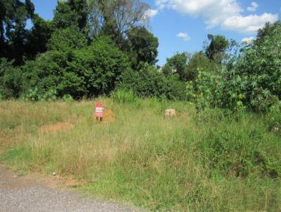 Terreno para Venda, em Concrdia, bairro Jardim