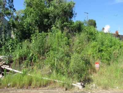 Terreno para Venda, em Concrdia, bairro Jardim