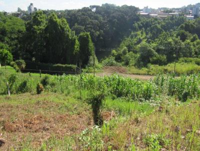 Terreno para Venda, em Concrdia, bairro Jardim