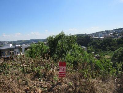 Terreno para Venda, em Concrdia, bairro Jardim