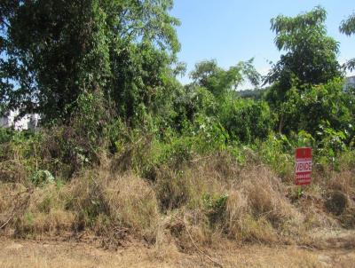 Terreno para Venda, em Concrdia, bairro Jardim