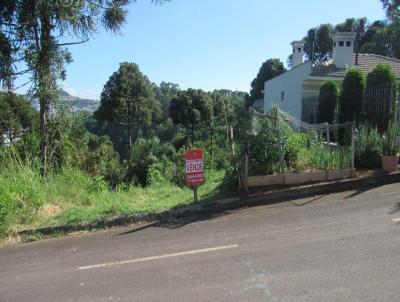 Terreno para Venda, em Concrdia, bairro Jardim