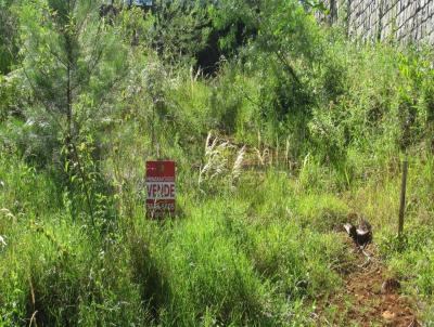 Terreno para Venda, em Concrdia, bairro Jardim