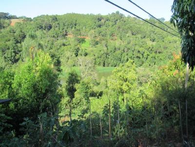 Stio / Chcara para Venda, em Concrdia, bairro Rural, 3 dormitrios, 1 banheiro