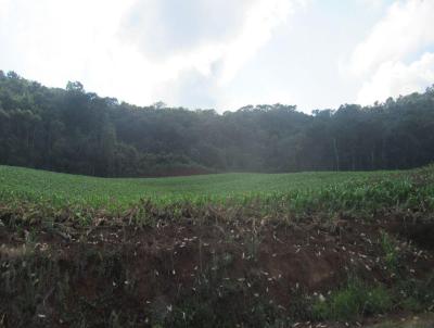 rea Agrcola para Venda, em Peritiba, bairro Lageado Mirim