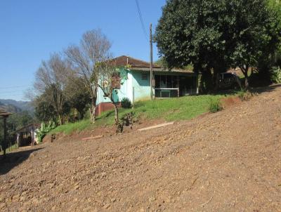 rea Agrcola para Venda, em Concrdia, bairro Fragosos