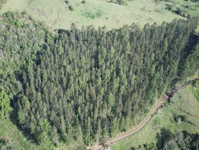 Terreno para Venda, em Arabuta, bairro Interior