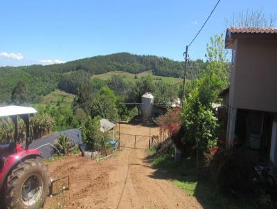 rea Agrcola para Venda, em Arabuta, bairro Rural