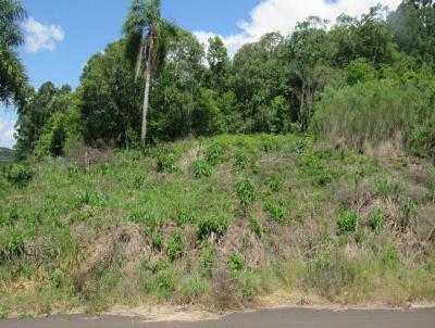 Terreno para Venda, em Concrdia, bairro Rural