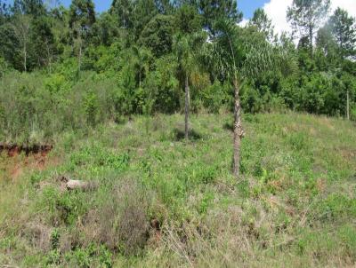 Terreno para Venda, em Concrdia, bairro Rural