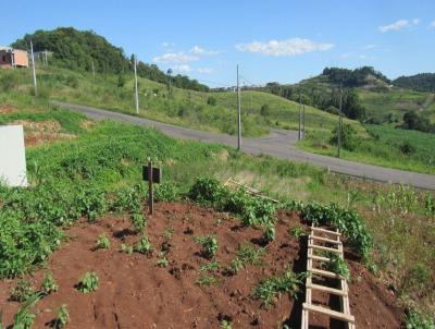 Terreno para Venda, em Concrdia, bairro Interior