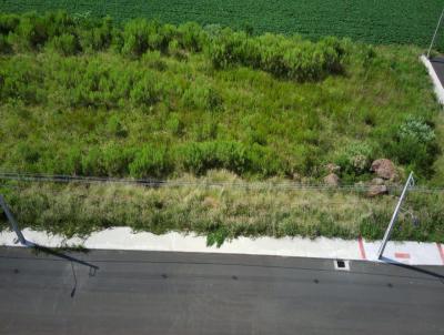 Terreno para Venda, em Concrdia, bairro So Cristvo