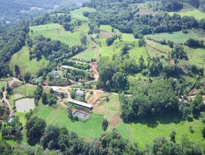 rea Agrcola para Venda, em Arabuta, bairro Rodovia