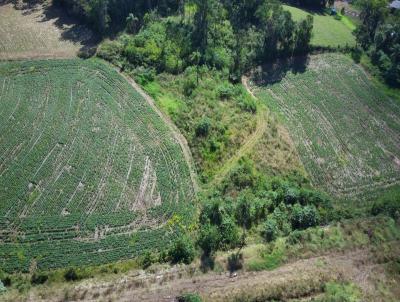 Terreno para Venda, em Concrdia, bairro Arvoredo