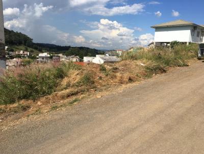 Terreno para Venda, em Concrdia, bairro Cinquentenrio