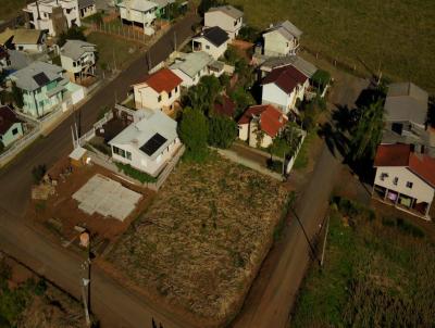 Terreno para Venda, em Concrdia, bairro Colinas