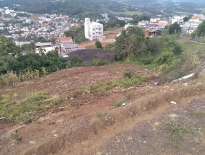 Terreno para Venda, em Concrdia, bairro Das Naes