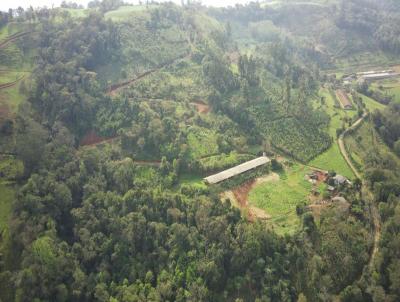 rea Agrcola para Venda, em Arabuta, bairro Rural