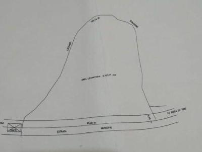 Terreno para Venda, em Concrdia, bairro Rural