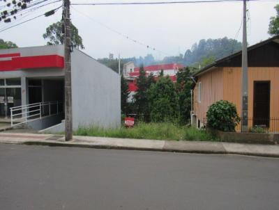 Terreno para Venda, em Concrdia, bairro Industririos