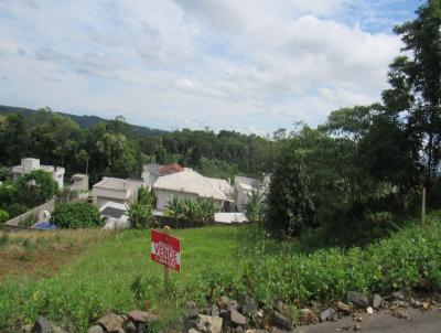 Terreno para Venda, em Concrdia, bairro So Cristvo