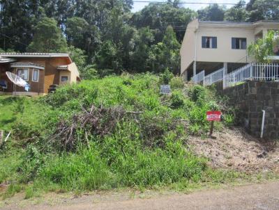 Terreno para Venda, em Concrdia, bairro Sintrial