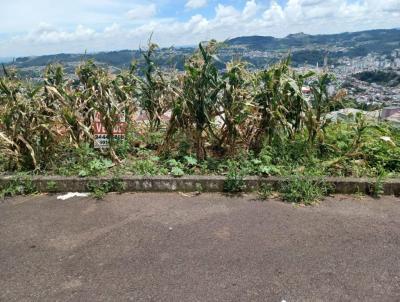 Terreno para Venda, em Concrdia, bairro Naes