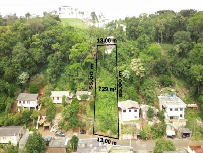 Terreno para Venda, em Concrdia, bairro Nossa Senhora da Salete