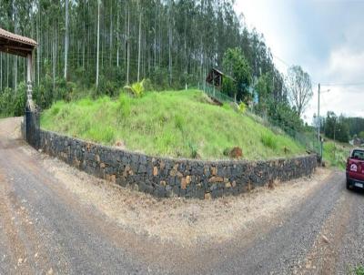 Terreno para Venda, em Concrdia, bairro Rural