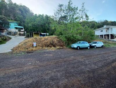 Terreno para Venda, em Concrdia, bairro Naes