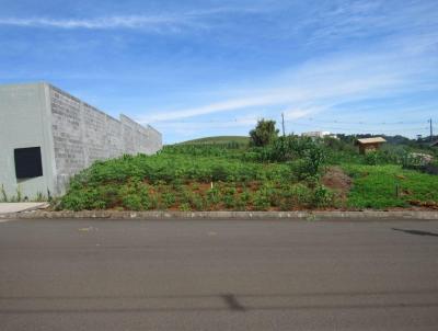 Terreno para Venda, em Concrdia, bairro Santa Terezinha