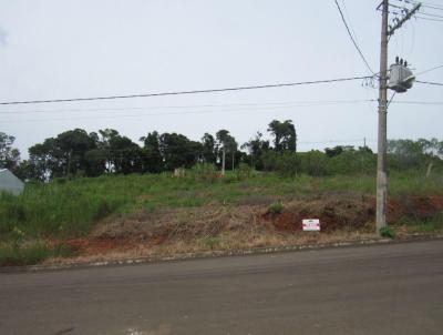 Terreno para Venda, em Concrdia, bairro Santa Terezinha