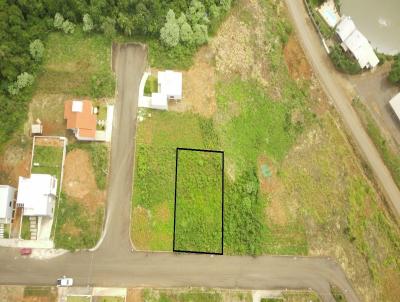 Terreno para Venda, em Concrdia, bairro Santa Terezinha