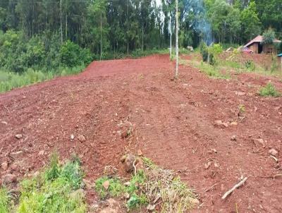 Terreno para Venda, em Concrdia, bairro Interior