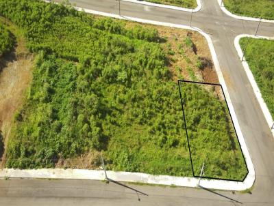 Terreno para Venda, em Concrdia, bairro Rural