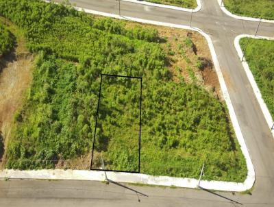 Terreno para Venda, em Concrdia, bairro Rural