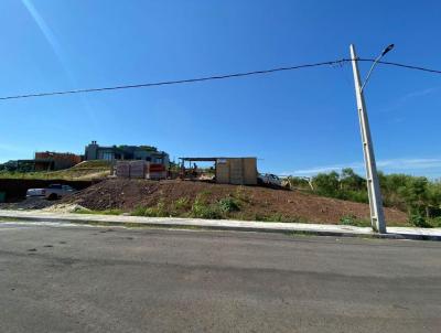 Terreno para Venda, em Concrdia, bairro Rural