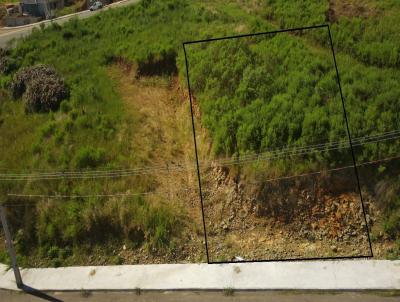 Terreno para Venda, em Concrdia, bairro Rural