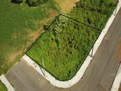 Terreno para Venda, em Concrdia, bairro Rural