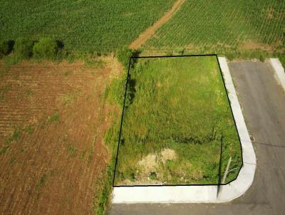 Terreno para Venda, em Concrdia, bairro Rural