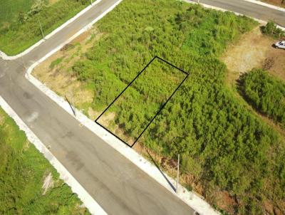 Terreno para Venda, em Concrdia, bairro Rural