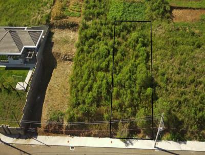 Terreno para Venda, em Concrdia, bairro Rural